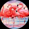 lmtracey24